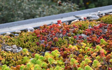 the cost of Gidleigh green roof installation