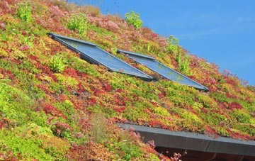 Gidleigh living roof systems